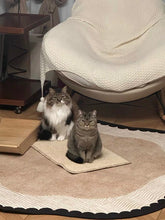 Load image into Gallery viewer, Noir Petal Rug ノワールペタル ラグ