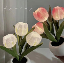 Load image into Gallery viewer, LED Tulip Pot LEDチューリップポット