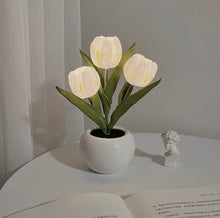 Load image into Gallery viewer, LED Tulip Pot LEDチューリップポット