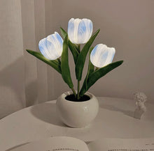 Load image into Gallery viewer, LED Tulip Pot LEDチューリップポット