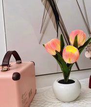 Load image into Gallery viewer, LED Tulip Pot LEDチューリップポット
