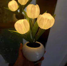 Load image into Gallery viewer, LED Tulip Pot LEDチューリップポット