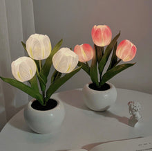 Load image into Gallery viewer, LED Tulip Pot LEDチューリップポット