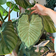 画像をギャラリービューアに読み込む, Botanical Leaf Hand Towel ボタニカルリーフハンドタオル