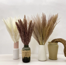 画像をギャラリービューアに読み込む, Natural Pampas Grass ふわふわのパンパスグラス