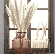 画像をギャラリービューアに読み込む, Natural Pampas Grass ふわふわのパンパスグラス