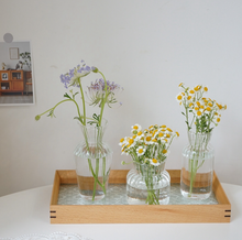 Load image into Gallery viewer, Nordic Creative Glass Vases おしゃれガラス花瓶