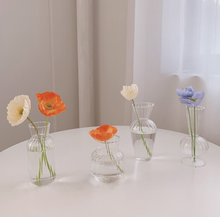 Load image into Gallery viewer, Nordic Creative Glass Vases おしゃれガラス花瓶
