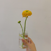 Load image into Gallery viewer, Nordic Creative Glass Vases おしゃれガラス花瓶