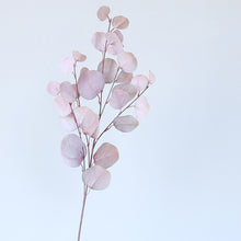 Load image into Gallery viewer, Long Branch Silk Flowers Ins風ユーカリの葉 多色造花