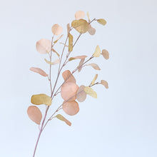 Load image into Gallery viewer, Long Branch Silk Flowers Ins風ユーカリの葉 多色造花