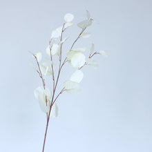 Load image into Gallery viewer, Long Branch Silk Flowers Ins風ユーカリの葉 多色造花