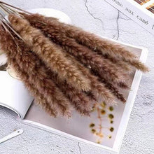 画像をギャラリービューアに読み込む, Natural Pampas Grass ふわふわのパンパスグラス