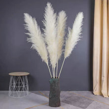 Load image into Gallery viewer, Large Size!80cm/110cm Natural Pampas Grass ふわふわのパンパスグラス 5/10本