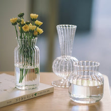Load image into Gallery viewer, Nordic Creative Glass Vases おしゃれガラス花瓶