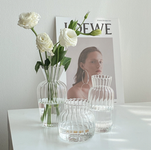 Load image into Gallery viewer, Nordic Creative Glass Vases おしゃれガラス花瓶
