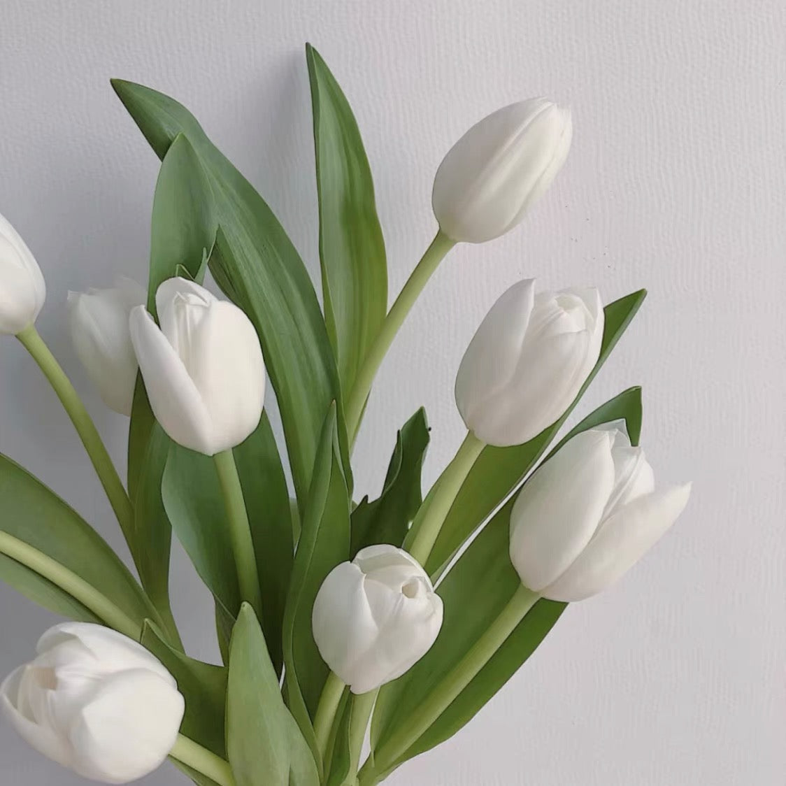 六畳の憩 10PCS Artificial Tulip Bouquet チューリップのブーケ（8色展開