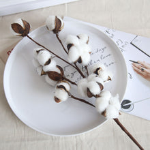 Load image into Gallery viewer, Natural Dried Cotton Stems 【ドライ】コットンフラワー
